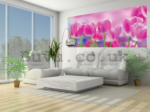 Wall Mural: Violet tulips - 104x250 cm