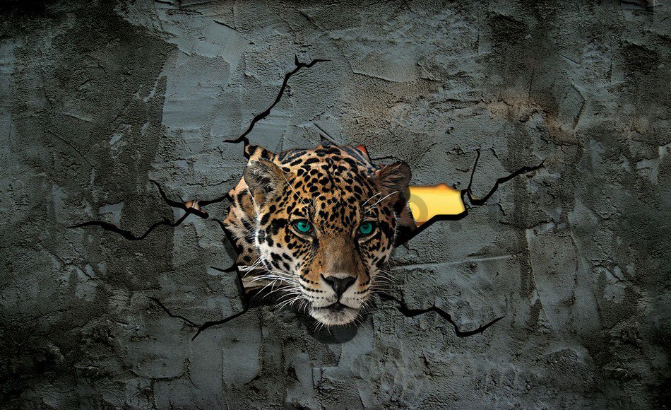 Wall Mural: Cheetah in the wall - 184x254 cm