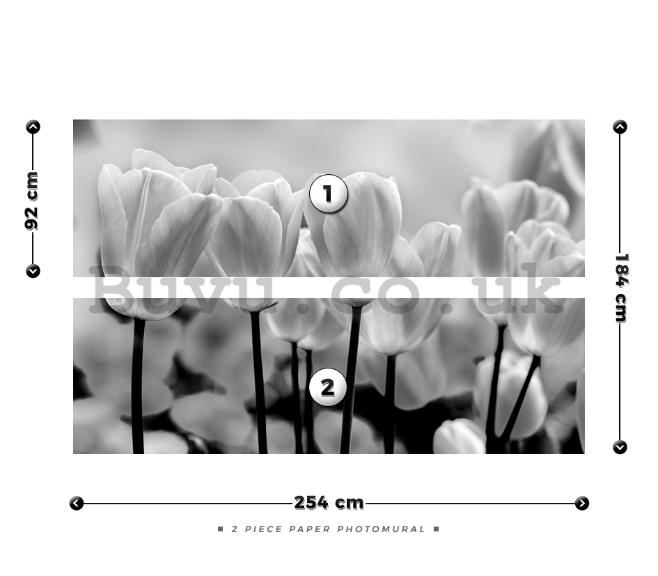 Wall Mural: White and black tulips - 184x254 cm
