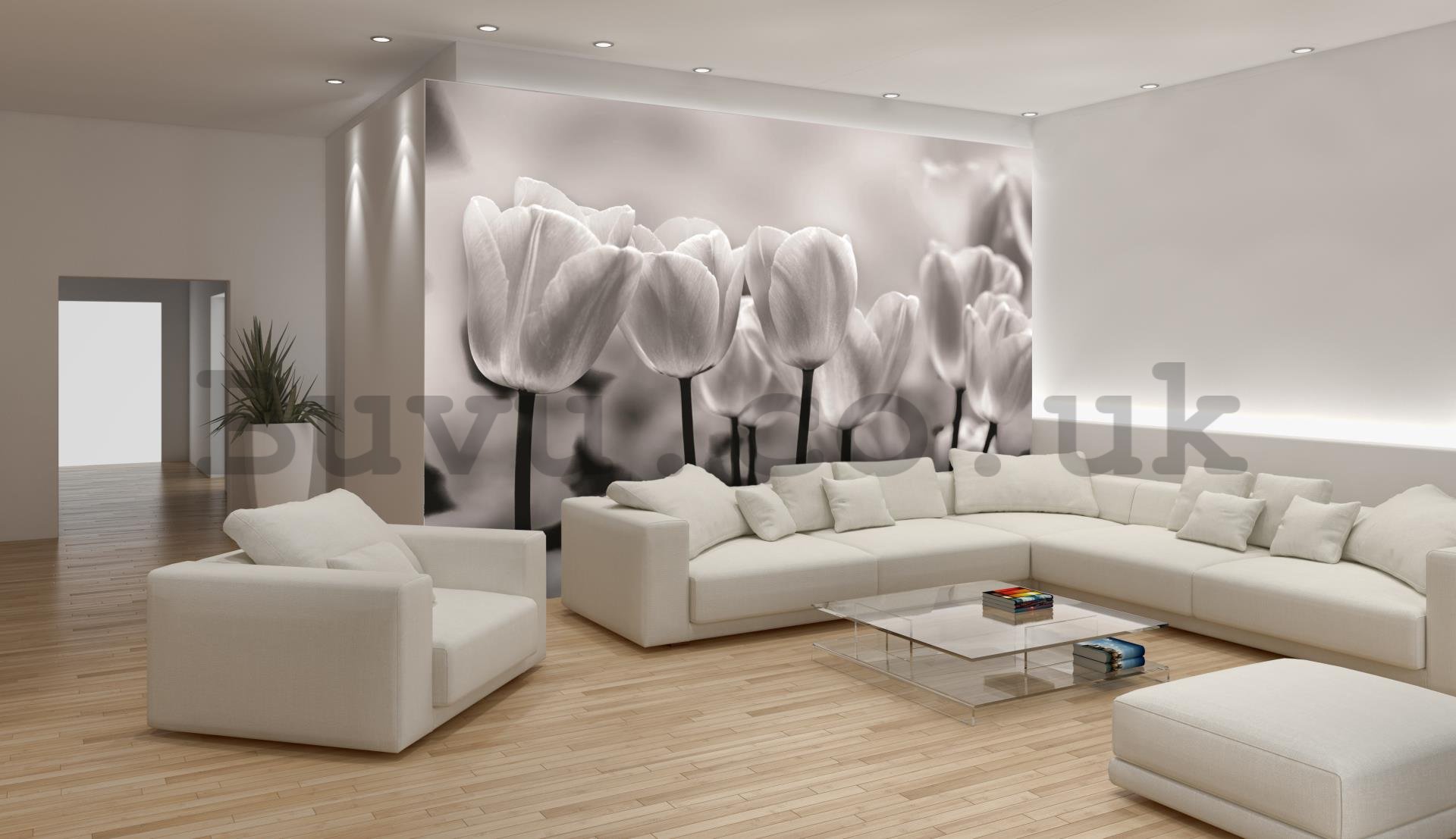 Wall Mural: White and black tulips - 254x368 cm