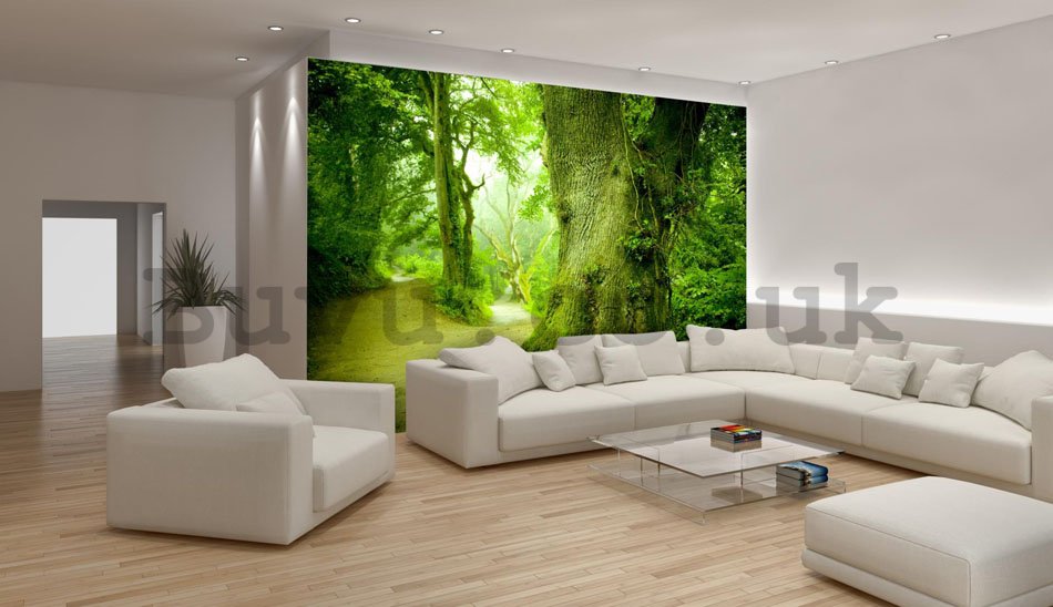 Wall Mural: Magical forest - 254x368 cm