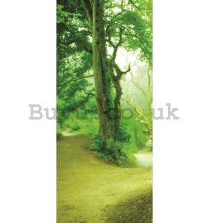 Photo Wallpaper Self-adhesive: Magical forest - 221x91 cm