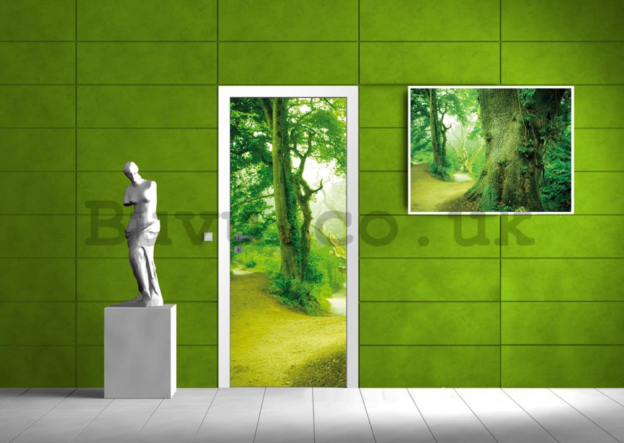 Wall Mural: Magical forest - 211x91 cm