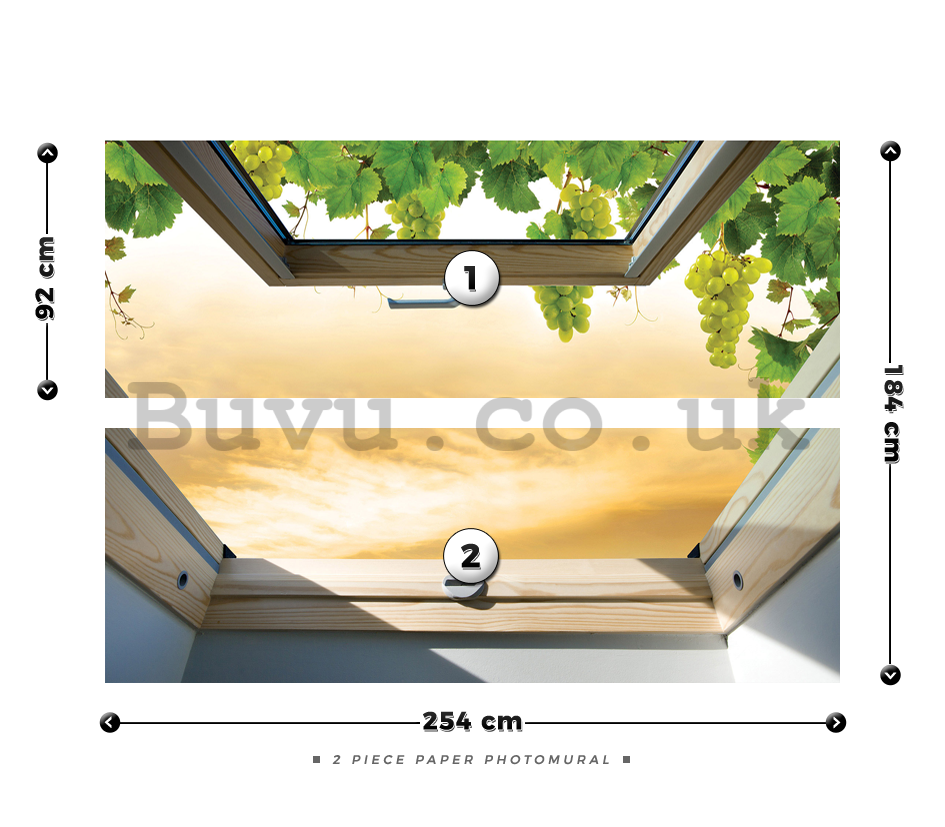 Wall Mural: Window with grapes - 184x254 cm
