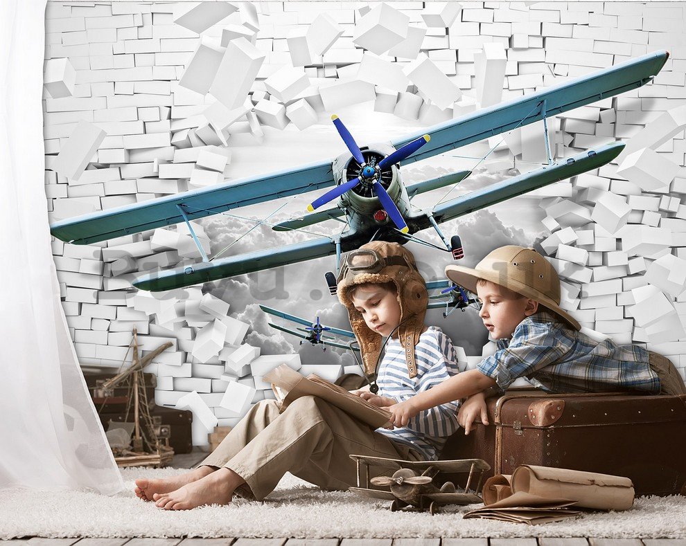 Wall Mural: Biplane in the wall - 184x254 cm