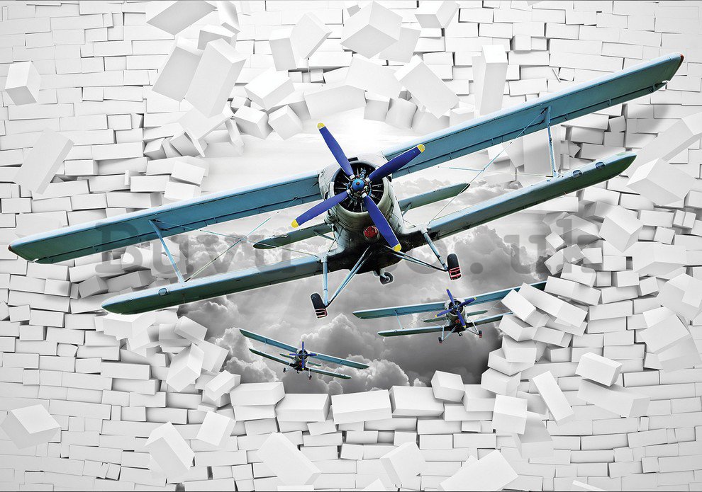 Wall Mural: Biplane in the wall - 184x254 cm