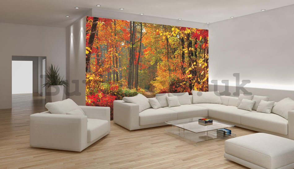 Wall Mural: Autumn Forest - 184x254 cm
