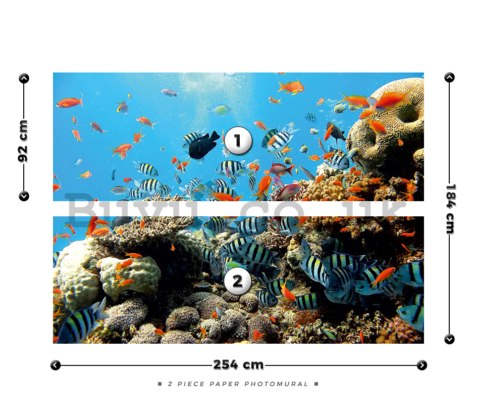 Wall Mural: Coral reef - 184x254 cm