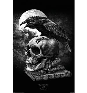 Poster - Alchemy (Poe's Raven)