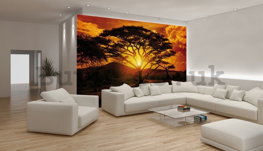 Wall mural vlies: African sunset - 254x368 cm