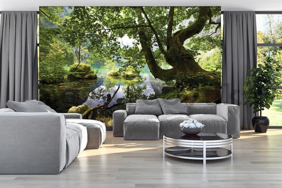 Wall mural vlies: Forest pool - 254x368 cm