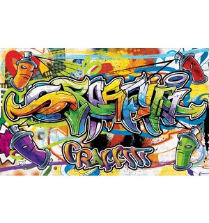 Wall mural vlies: Graffiti (2) - 254x368 cm