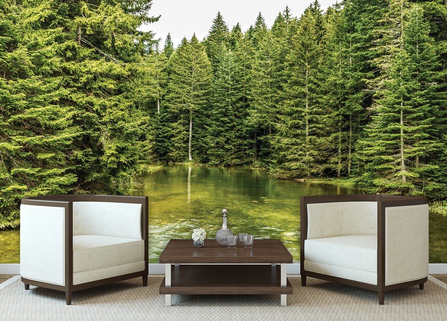 Vlies wall mural : Forest pool (2) - 184x254 cm
