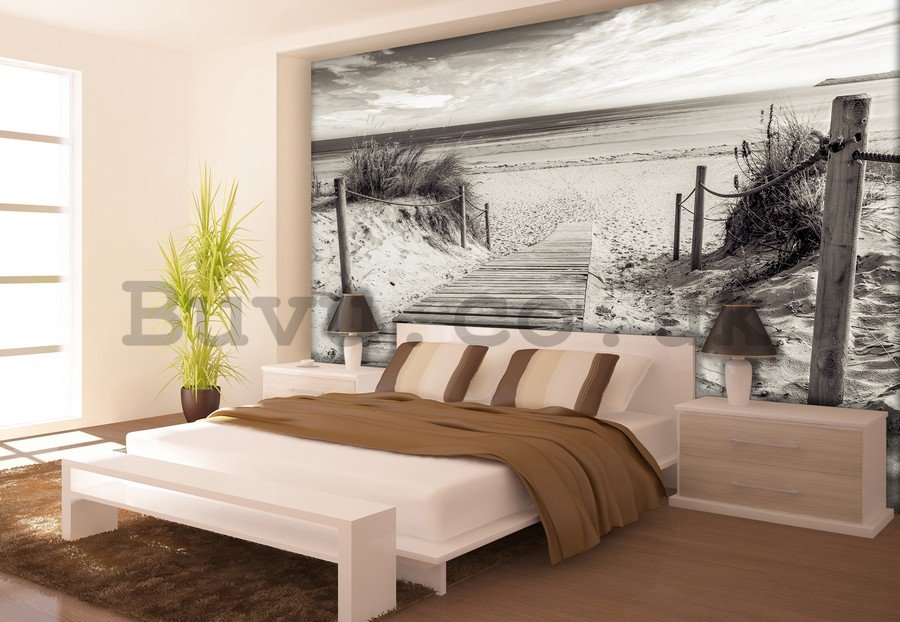 Wall mural vlies: Beach (black and white) - 254x368 cm