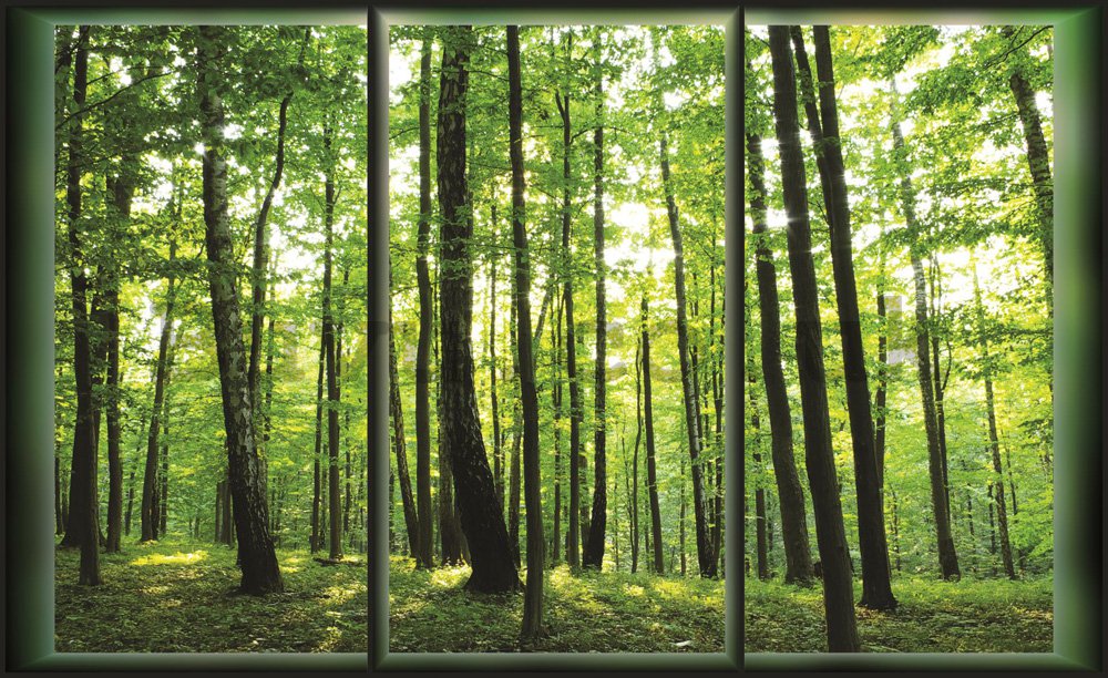 Wall Mural: Forest (View from the window) - 254x368 cm