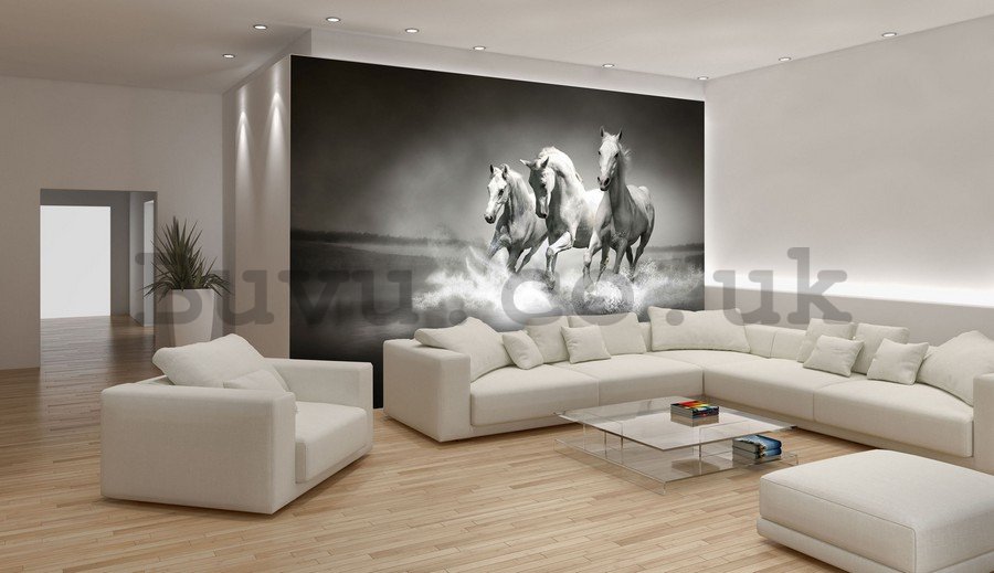 Wall mural vlies: Horses (1) - 254x368 cm