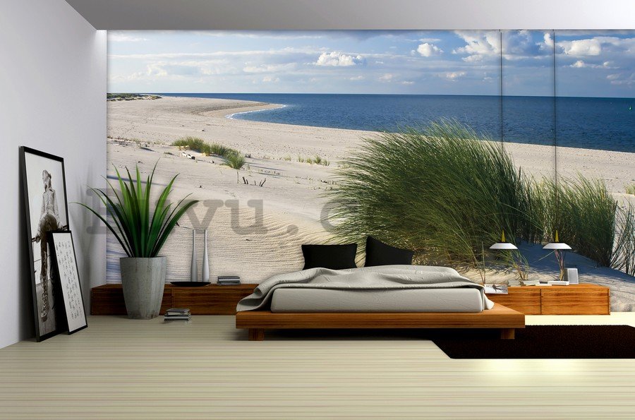 Wall mural vlies: Sand beach (1) - 254x368 cm