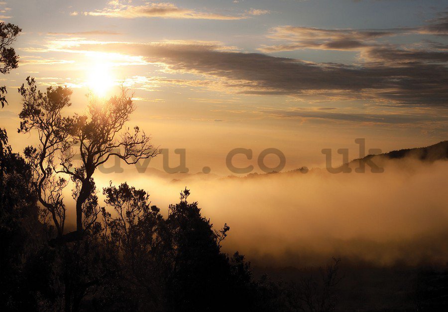 Wall Mural: Sunrise over the Foggy Forest - 184x254 cm