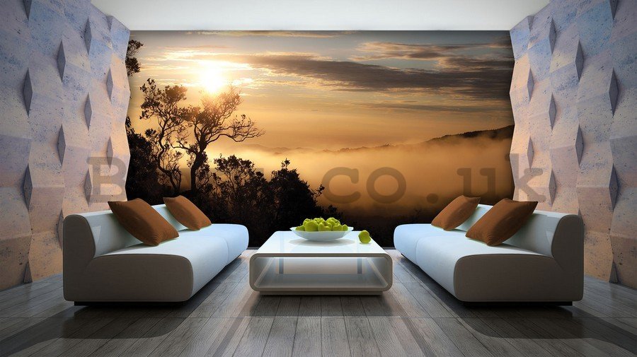 Wall Mural: Sunrise over the Foggy Forest - 254x368 cm