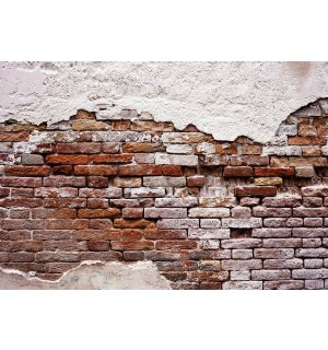 Wall Mural: Tattered Old Brick Wall - 254x368 cm