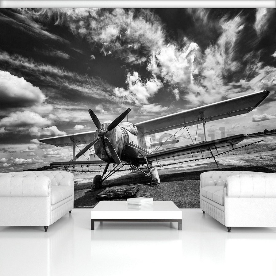Wall Mural: Biplane (black and white) - 184x254 cm