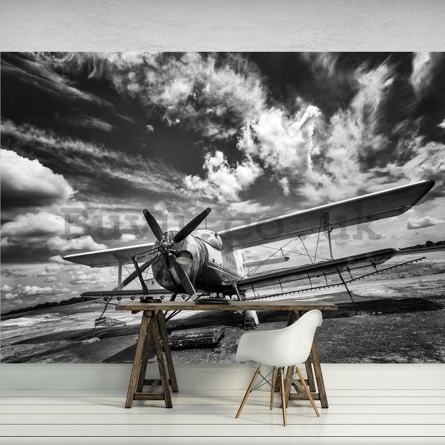 Wall Mural: Biplane (black and white) - 254x368 cm