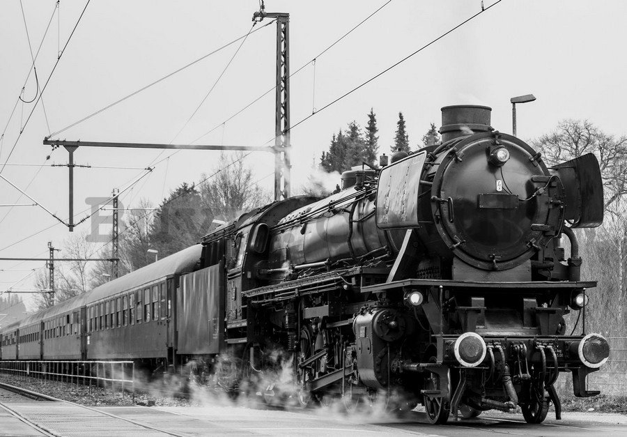 Wall Mural: Steam locomotive (black and white) - 184x254 cm