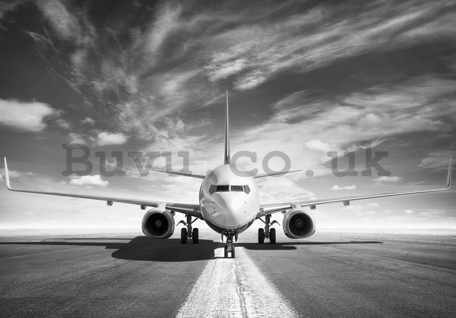 Wall Mural: Airplane (black and white) - 184x254 cm