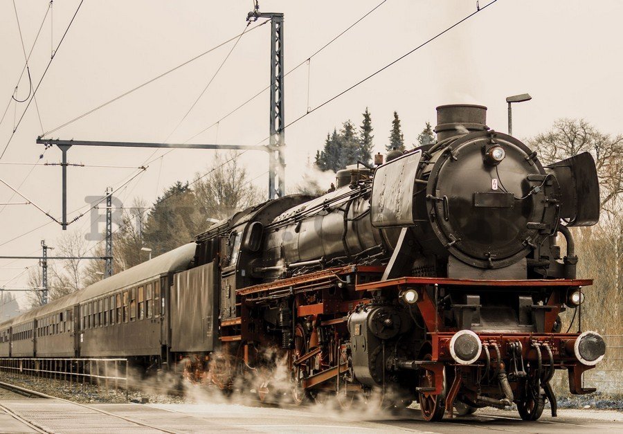 Wall Mural: Steam locomotive (1) - 184x254 cm