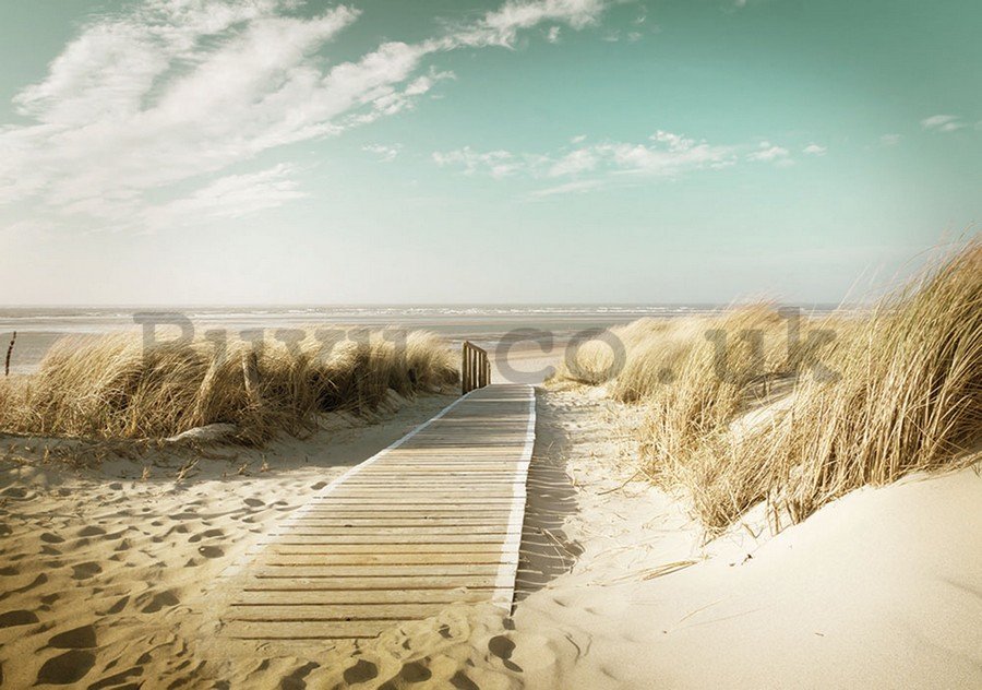 Wall Mural: Way to the beach (8) - 184x254 cm