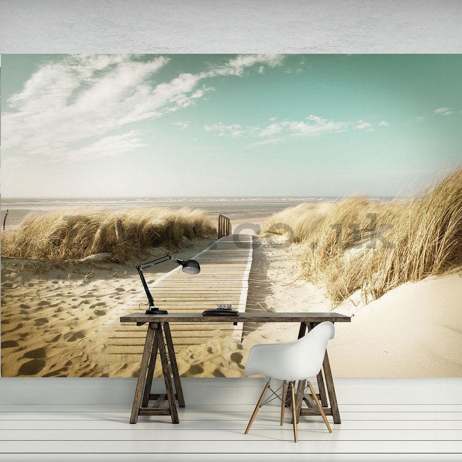 Wall Mural: Way to the beach (8) - 254x368 cm