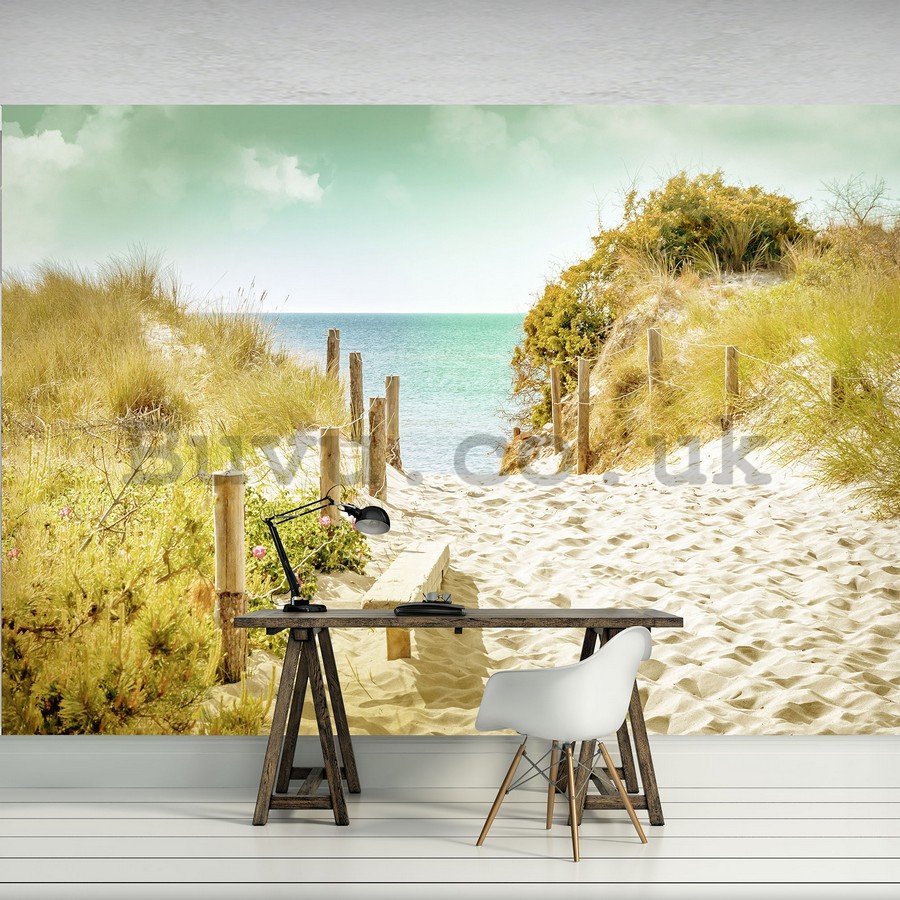 Wall Mural: Way to the beach (9) - 184x254 cm