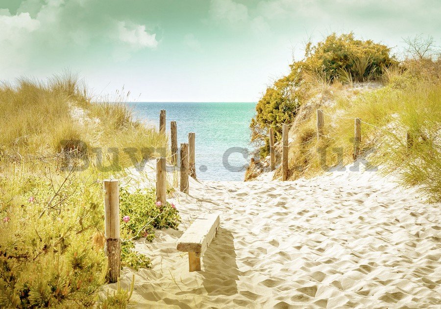 Wall Mural: Way to the beach (9) - 184x254 cm
