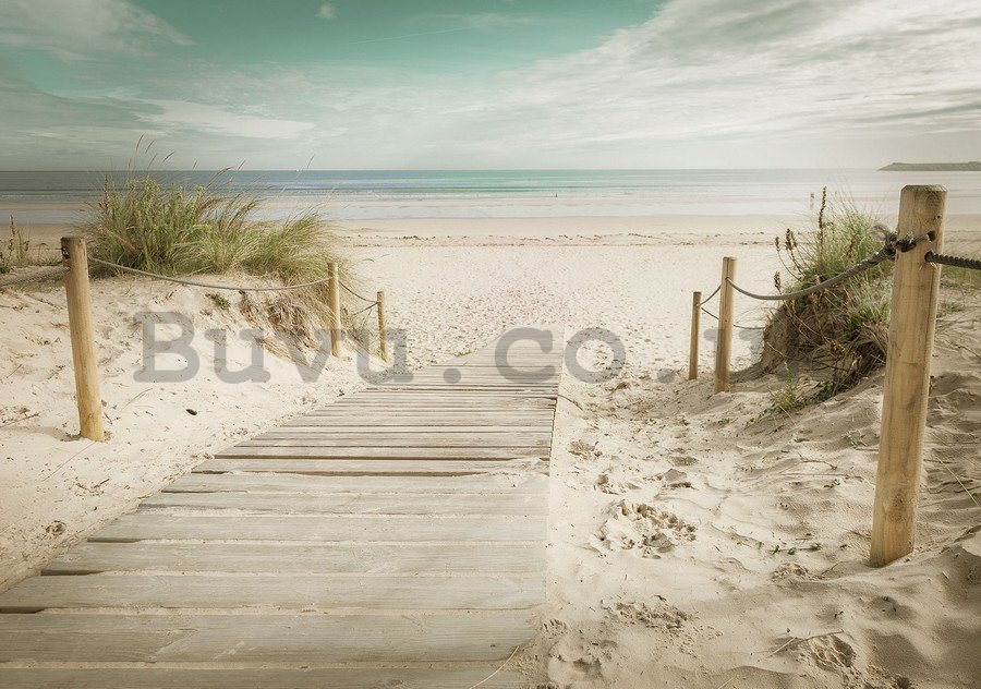 Wall Mural: Way to the beach (10) - 184x254 cm
