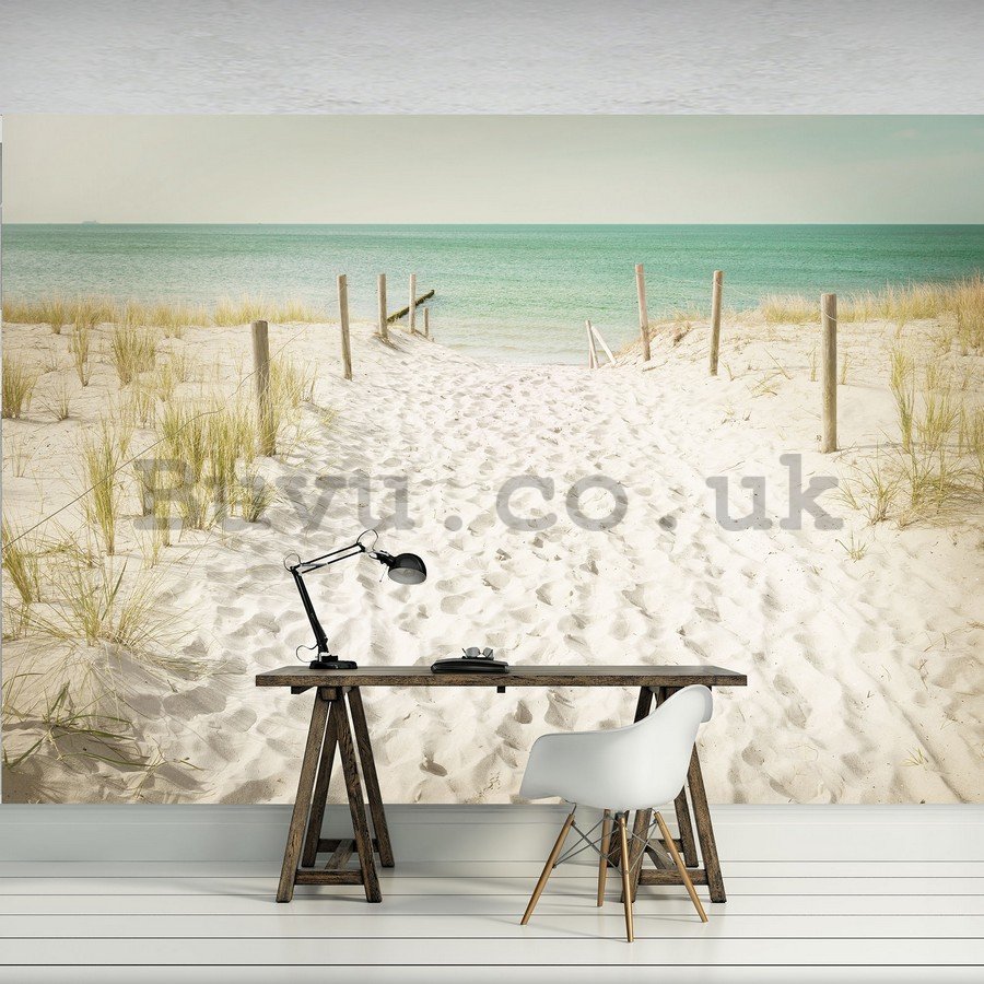 Wall Mural: Way to the beach (11) - 184x254 cm