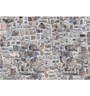 Wall Mural: Stone wall (7) - 184x254 cm