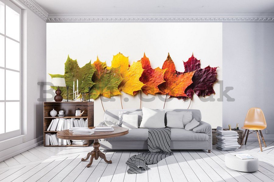 Wall Mural: Autumn leaves - 184x254 cm