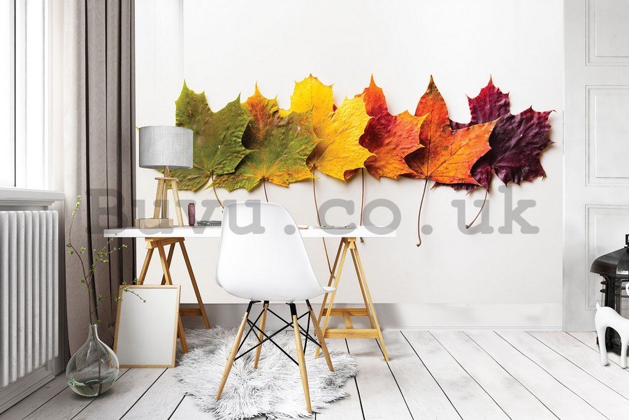 Wall Mural: Autumn leaves - 254x368 cm