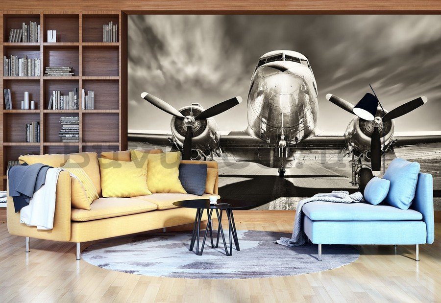 Wall Mural: Aircraft (black and white) - 184x254 cm