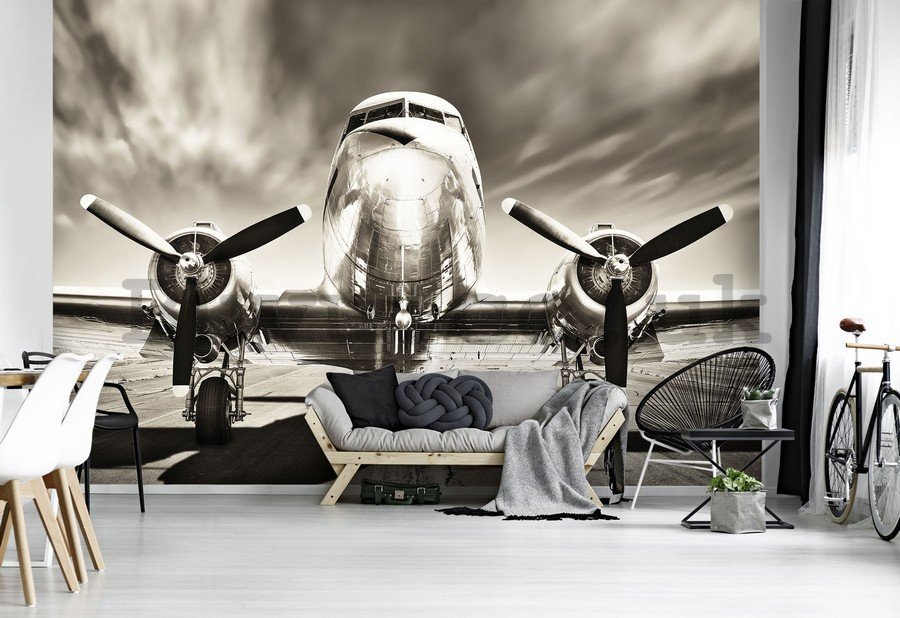 Wall Mural: Aircraft (black and white) - 254x368 cm