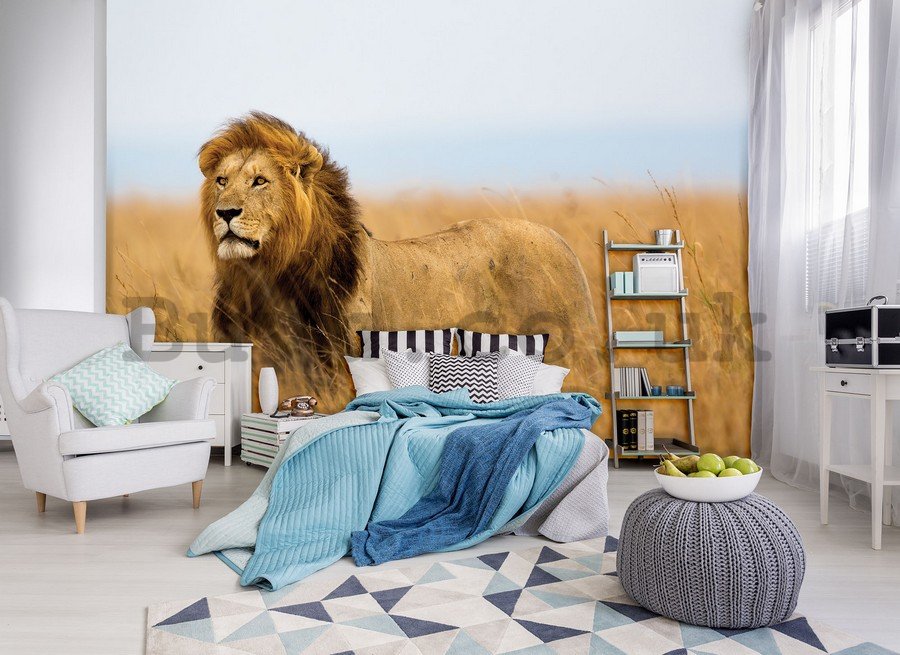 Wall Mural: The Lion (4) - 184x254 cm