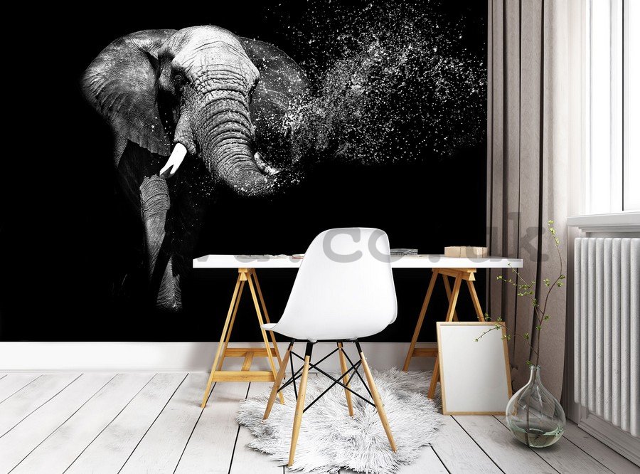 Wall Mural: Black and white elephant - 184x254 cm