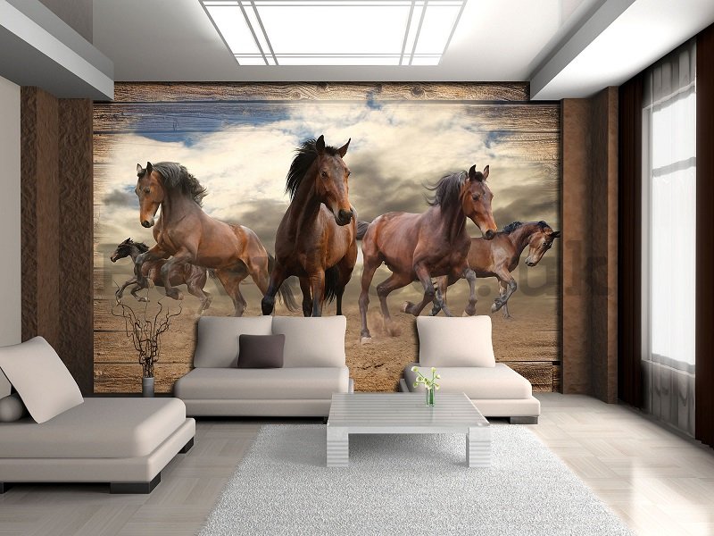 Wall mural vlies: Horses (3) - 254x368 cm