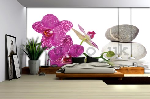 Wall Mural: Orchid with stones - 184x254 cm