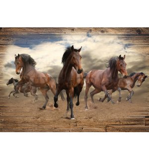 Wall mural vlies: Horses (3) - 184x254 cm