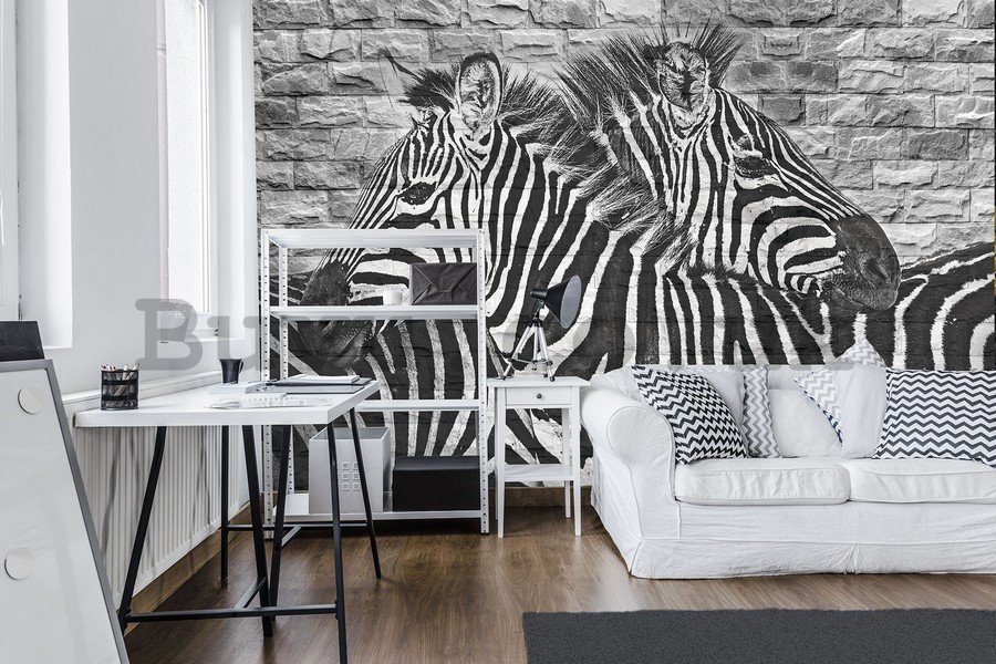 Wall mural vlies: Zebras - 184x254 cm