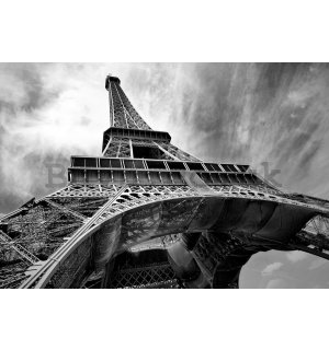 Wall mural vlies: Eiffel Tower (5) - 184x254 cm