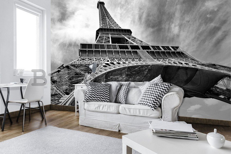 Wall mural vlies: Eiffel Tower (5) - 254x368 cm