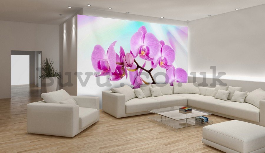 Wall mural vlies: Violet orchid - 254x368 cm