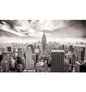 Wall mural vlies: View on New York (black and white) - 254x368 cm
